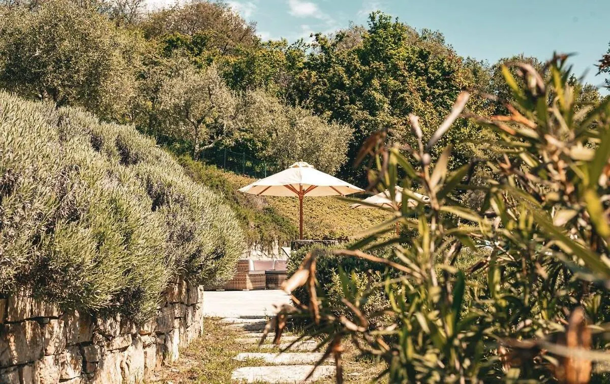 Dream Villa With Pool In Chianti كاستيلّينا إنْ كْيانت 0*,